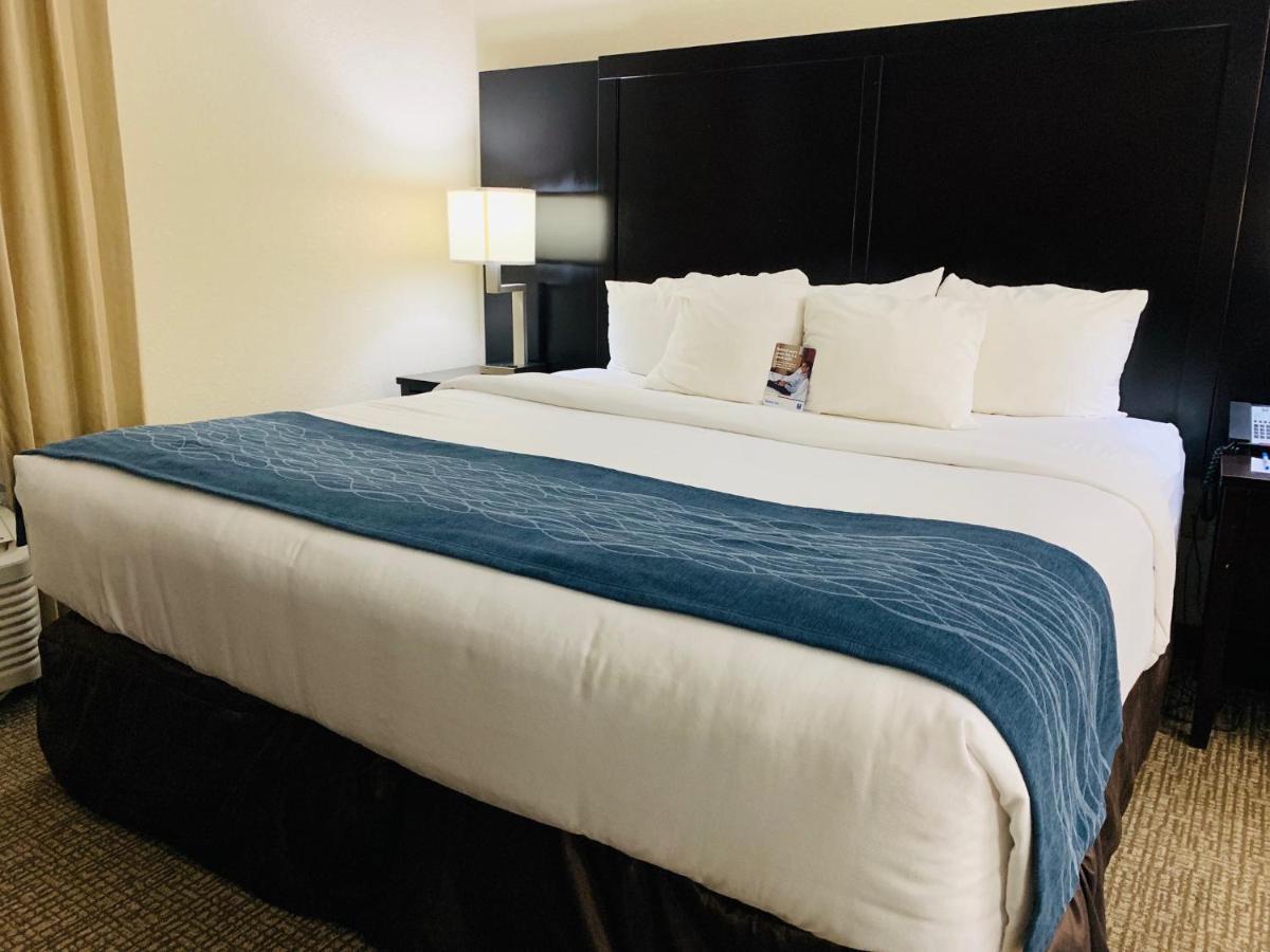 Comfort Inn & Suites Atlanta-Smyrna Zewnętrze zdjęcie